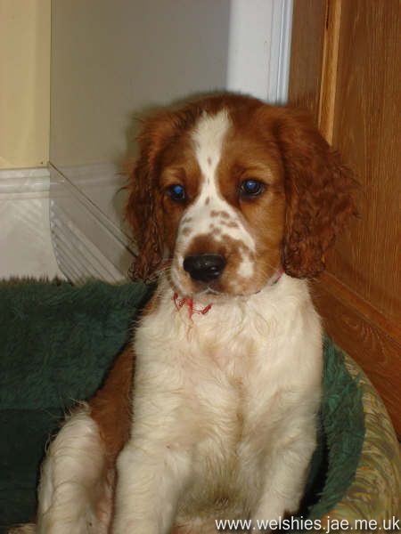 2009-04-17 33L.JPG